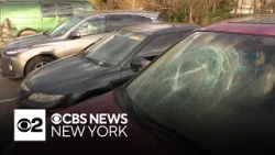 Video shows suspect smashing windshield with bricks in New Jersey