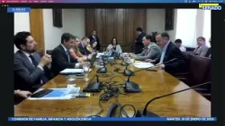 Comisión de Familia, Infancia y Adolescencia - 13 de Enero 2026