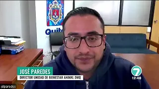 #News7 | Dog suffers tar burns in Quito