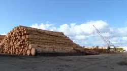 How do Trump's tariffs impact everyday taxpayers?