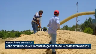 Santa Catarina's agribusiness expands hiring of foreign workers