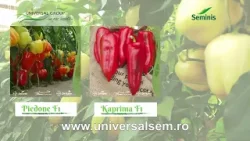 Agricultura la Raport Ovidiu Ghinea P2 10 02 2026 Agricultura la Raport Ovidiu Ghinea P2 10 02 2026