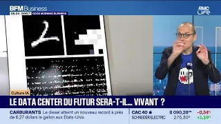 AI Culture: Will the data center of the future be... alive? by Anthony Morel