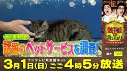 『動物さまの言うとおり　アニマルお仕事大図鑑SP』番宣15秒　話題のペットサービス編