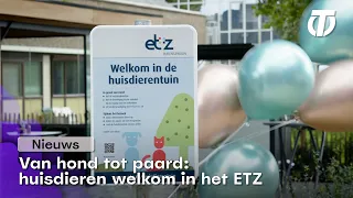 Van hond tot paard: huisdieren welkom in het ETZ - Nieuws