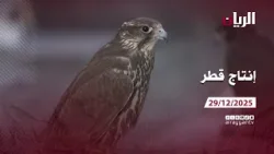 برنامج إنتاج قطر - 29-12-2025