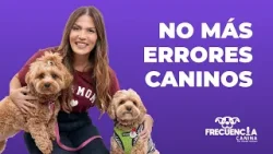 Descubre Paws in Town: Educación, Apoyo y Consejos para Dueños