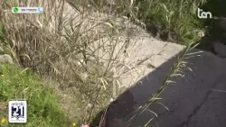 ARTICOLO 21 10 febbraio 2026