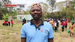 Akenya kurio mahande miti riri gutanyitwo kuura