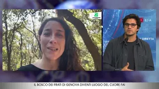 L'appello: "Aiutateci a far diventare il bosco dei frati luogo del cuore FAI"