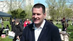 Izložba pasa mešanaca u Limanskom parku