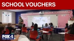 Новые данные проливают свет на количество заявок, поданных в рамках программы TEFA.