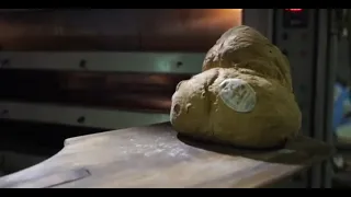 Pane di Altamura stroncato da Gambero Rosso, il sindaco replica: “Non ho parole. Li porto nei forni”