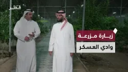 جولة في مزرعة وادي العسكر والمحاصيل القطرية | برنامج رمضانيات