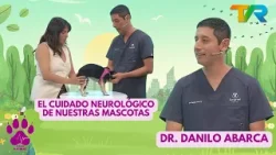 PULSO ANIMAL | EL CUIDADO NEUROLÓGICO DE NUESTRAS MASCOTAS CON EL DR. DANILO ABARCA