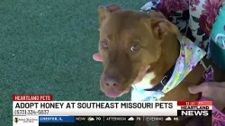 Heartland Pets feat. Honey on 4/10 Heartland Pets feat. Honey on 4/10