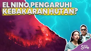 Peneliti BRIN Ungkap Hubungan El Nino dam Kebakaran Hutan