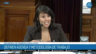 SENATOR BELÉN MONTE DE OCA 2 – BICAMERAL COMMISSION ON LEGISLATIVE REVIEW 09/01/26
