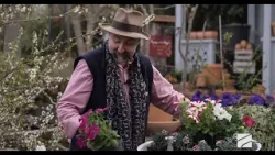 ქოთნის ყვავილებისკომპოზიციები-ზურა შევარდნაძე; შაბათ-კვირის დილა-2026.04.05