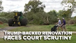Judge extends East Potomac tree-cutting halt through Oct. 26