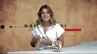 NARRAZIONI ANTONIO SALUZZI SEPTEMBER 17, 2026