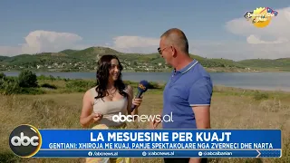 Mes rrëfimeve të ndjera historive të rralla! Summertime Show zbulon… | ABC News Albania