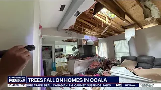 Tree crashes into Ocala home roof after strong storm