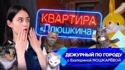 Квартира Плюшкина | ДПГ. Неделя