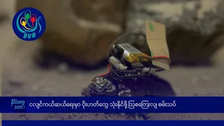 ငလျင် ကယ်ဆယ်ရေးမှာ ပိုးဟတ်တွေ သုံးနိုင်ဖို့ ဩစတြေးလျ စမ်းသပ်- DVB News