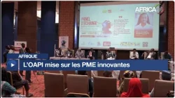 Afrique : l’OAPI mise sur les PME innovantes