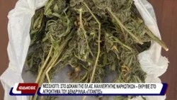 Μεσολόγγι: Στο δοκάνι της ΕΛ.ΑΣ καλλιεργητής ναρκωτικών - έκρυβε στο αγρόκτημα του δενδρύλλια