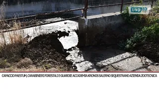srv CAPACCIO PAESTUM LIVESTOCK FARM SEIZURE