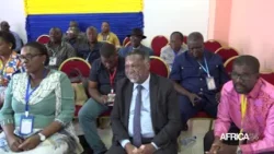 Gabon - Dialogue national inclusif : plénières des commissions