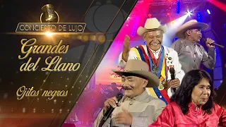 [Concierto de Lujo] – Los Grandes del Llano – Ojitos Negros