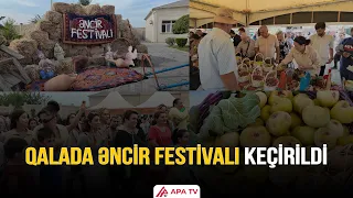 Əncir sevənlər Qalada bir araya gəldi – Festivaldan GÖRÜNTÜLƏR | APA TV