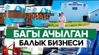 Балык жемин сыртка экспорттогон Чүйдөгү ири завод/// БИЗДИН ЭКОНОМИКА