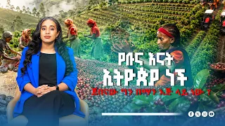 የቡና እናት ኢትዮጵያ ናት… ጀበናው ግን በማን እጅ ነው?