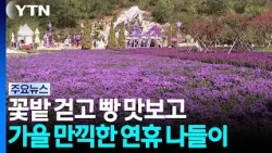 Walking through flower fields and tasting bread... Enjoying an autumnal holiday outing / YTN