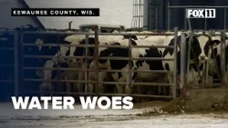 Wisconsin farm to be cited after manure runoff; residents worry about water quality