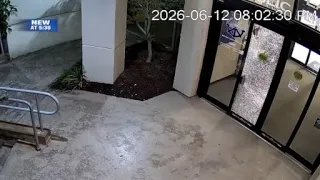 Rocks thrown through Laman Public Library front door, repairs underway