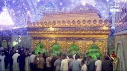 در ایام ولادت حضرت زینب کبری زائر امام حسین شوید | سلام کربلا