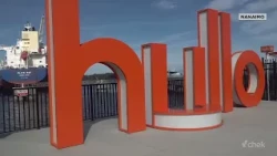 'Quite surprised': Hullo Ferries workers stay calm facing passenger armed with knife