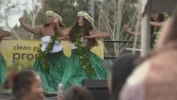 Lunar New Year festival in Elk Grove