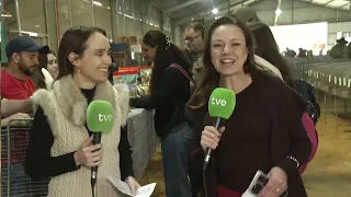 Expointer on TVE 08/31/2026 - General overview, rabbit farming, family products, and pony breeding