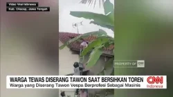 Warga Tewas Diserang Tawon Saat Bersihkan Toren