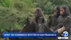 Horse-riding apes spotted in Bay Area to promote upcoming film, 'Kingdom of the Planet of the Apes'