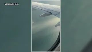 American Airlines flight engine catches fire after bird strike, forced to land