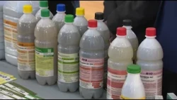 Microbiologists