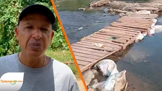 Con recursos propios construyen un puente de madera en sector Rivera de Los Sánchez