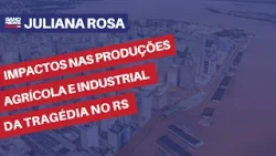 Impactos nas produções agrícola e industrial da tragédia no RS| Juliana Rosa